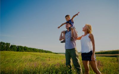 Tailored Insurance Quotes