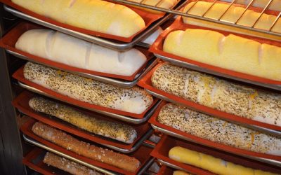 Insurance for Sandwich Shops
