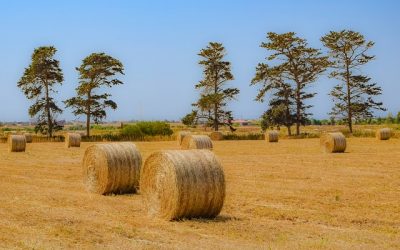 Adequate Farm Insurance Can Save Your Business