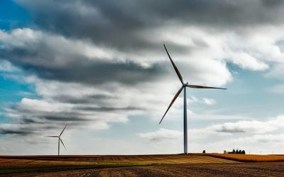 Why Do You Need Wind Farm Insurance?