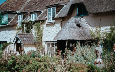 Shop Around for Affordable and Reliable Thatched Home Insurance