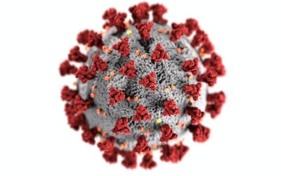 Pandemic Insurance: A Mini Guide
