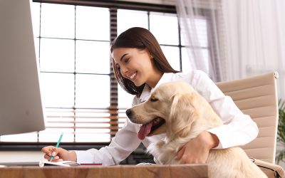 Could Pet Insurance Be An Employee Perk?