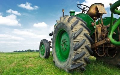 Real Insurance Claims That Are Stranger Than Fiction